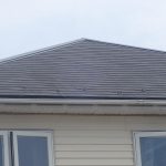 鳥取県鳥取市　屋根塗装　ファインパーフェクトベスト　ファイン浸透造膜シーラー　ヨイトソウ