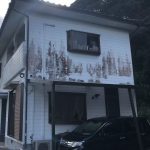 長崎県 外壁塗装｜苔・汚れを解消！ツートン仕上げで見違える外観に